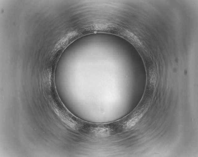 X0000060800542200511101422