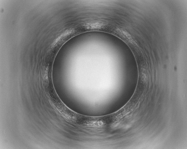 X0000060800543200511101422