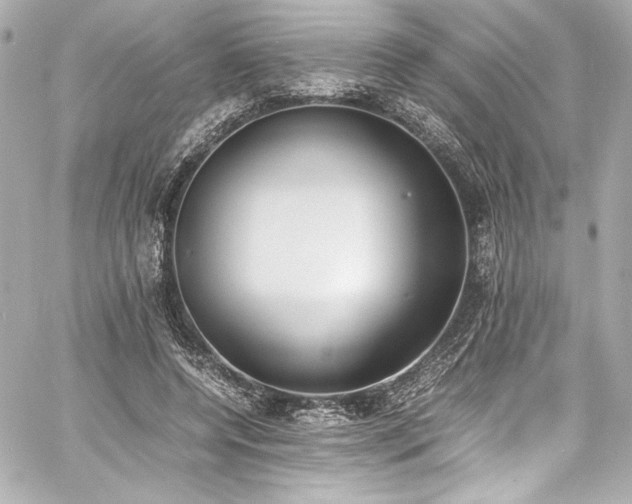 X0000060800544200511101422