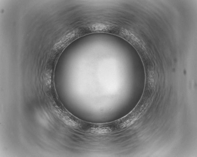 X0000060800545200511101422