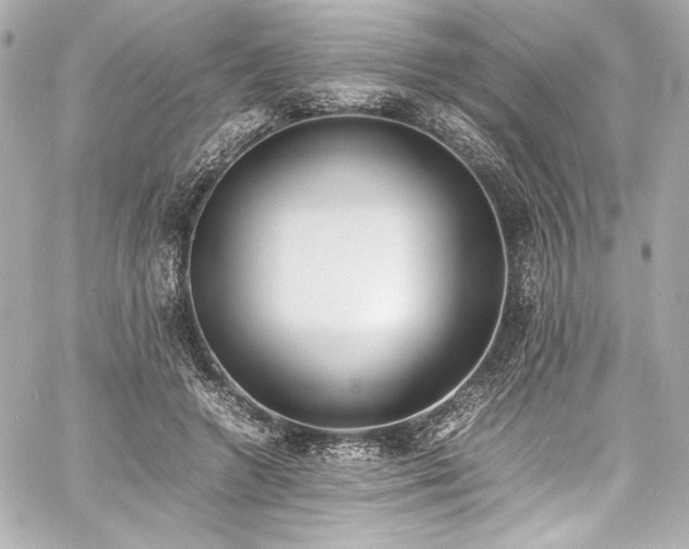 X0000060800546200511101422