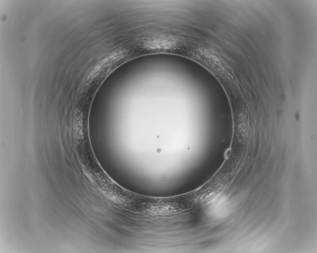 X0000060800547200511101422