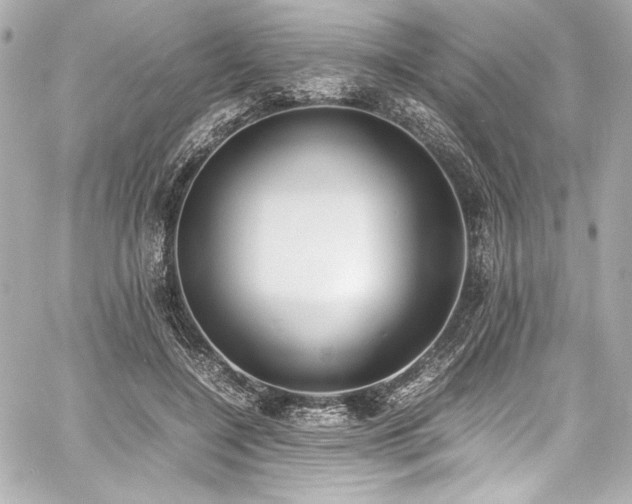 X0000060800548200511101422