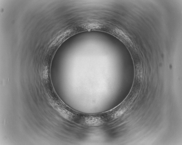 X0000060800549200511101422