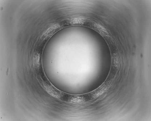 X0000060800550200511101422