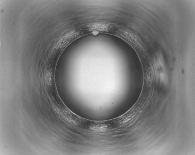 X0000060800551200511101422