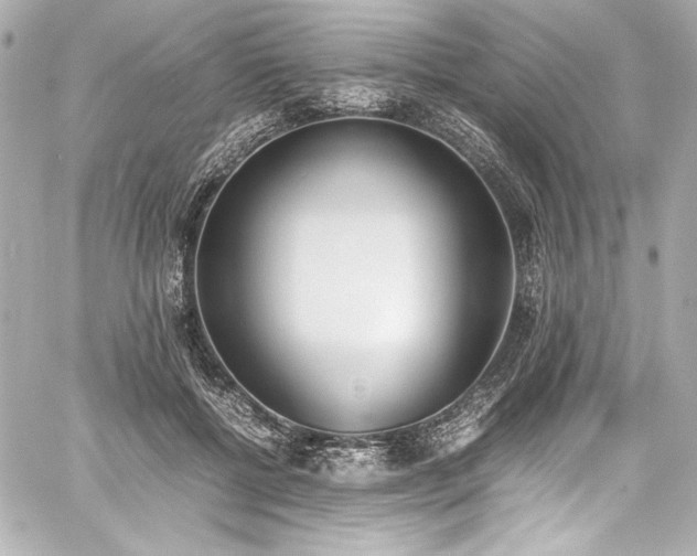 X0000060800552200511101422