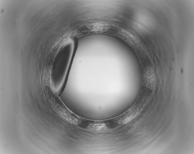 X0000060800554200511101422