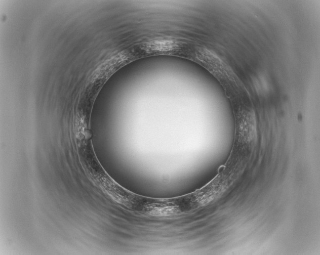 X0000060800555200511101422