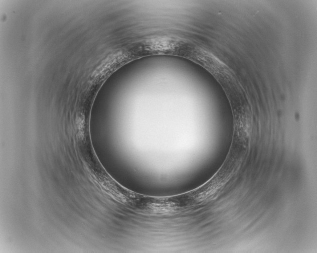 X0000060800556200511101422