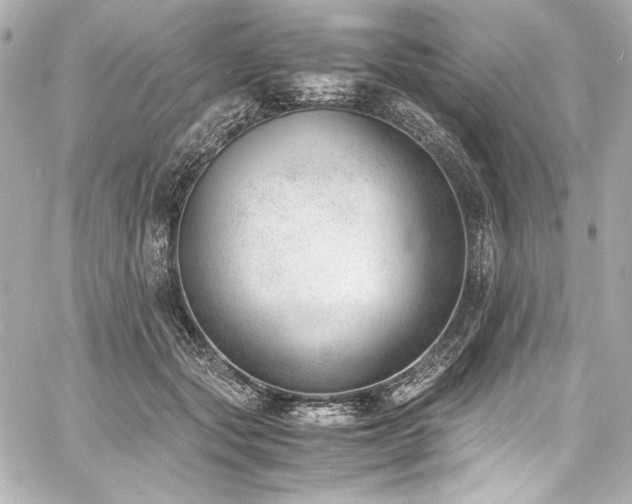 X0000060800557200511101422