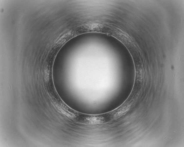 X0000060800558200511101422