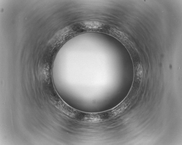 X0000060800559200511101422