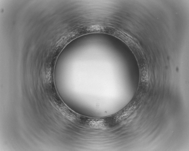 X0000060800560200511101422