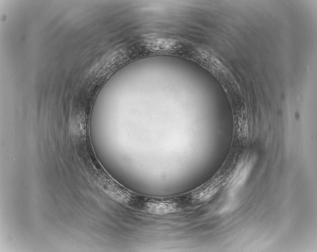 X0000060800561200511101422