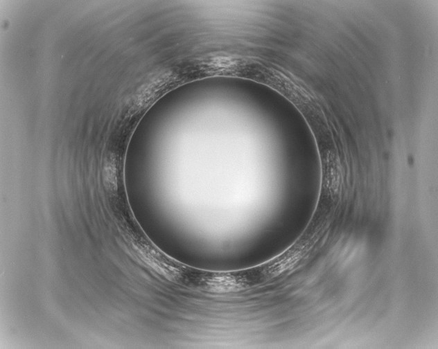 X0000060800562200511101422