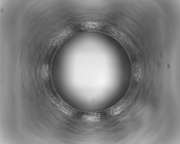 X0000060800563200511101422