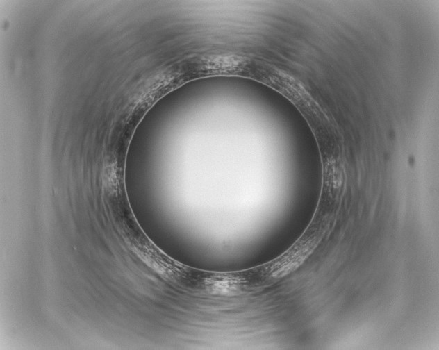 X0000060800564200511101422