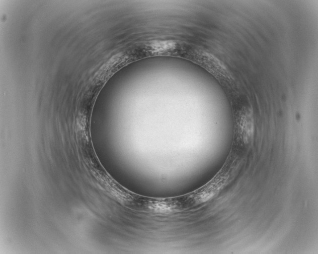 X0000060800565200511101422