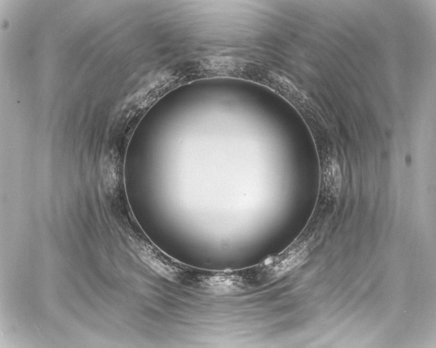 X0000060800566200511101422