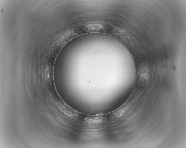 X0000060800567200511101422