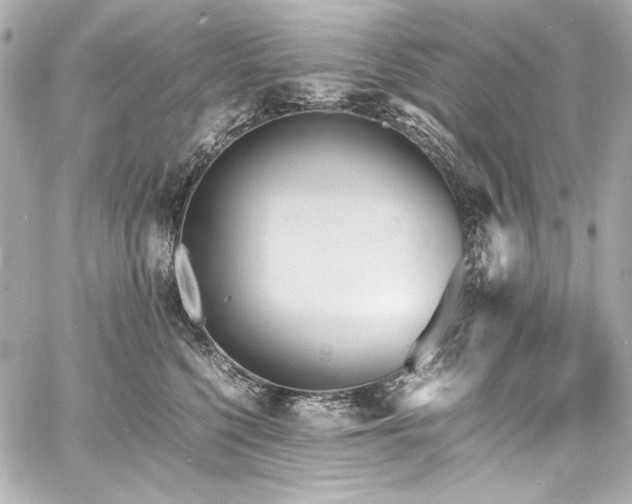 X0000060800568200511101422