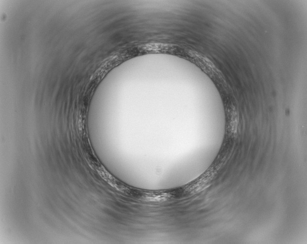 X0000060800569200511101422