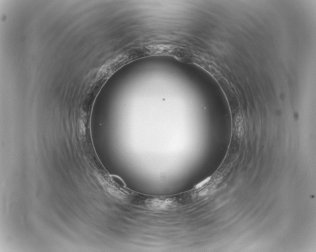 X0000060800570200511101422