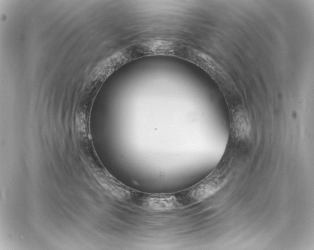 X0000060800571200511101422