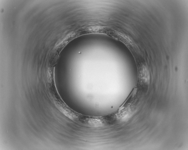 X0000060800572200511101422