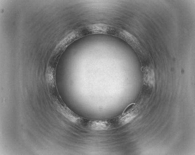 X0000060800573200511101422