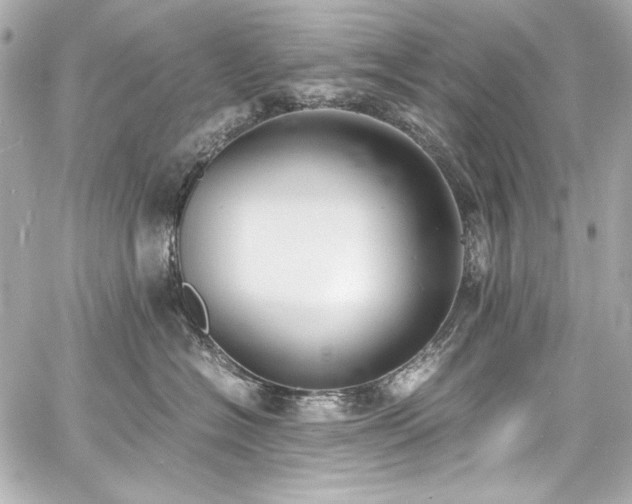 X0000060800574200511101422