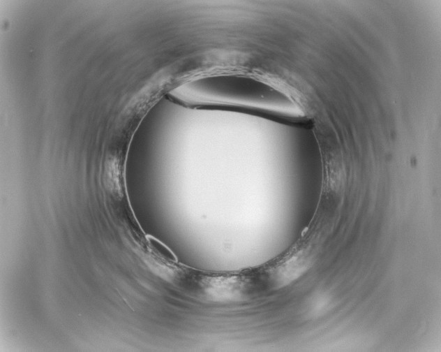 X0000060800575200511101422