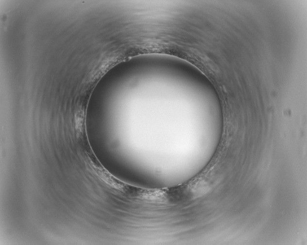 X0000060800576200511101422