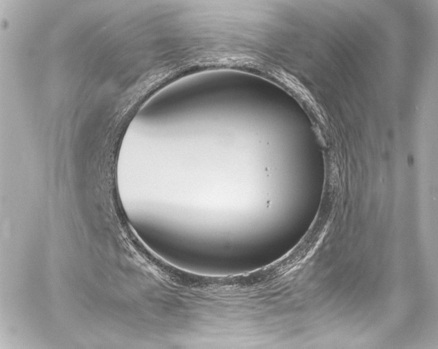 X0000060800577200511101421