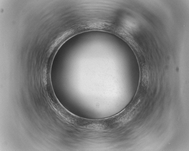 X0000060800578200511101421