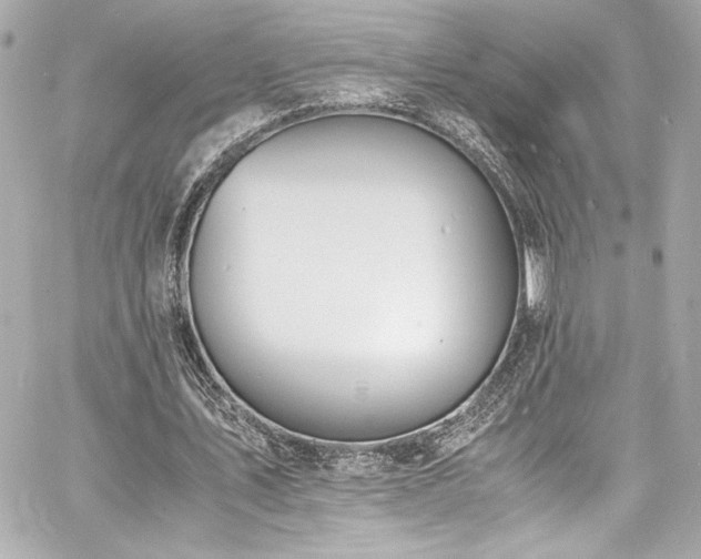 X0000060800579200511101421