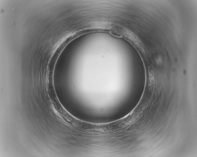 X0000060800580200511101421