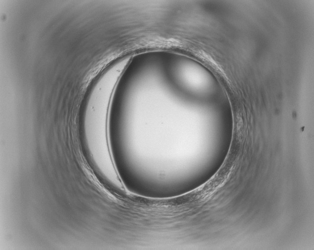 X0000060800581200511101421