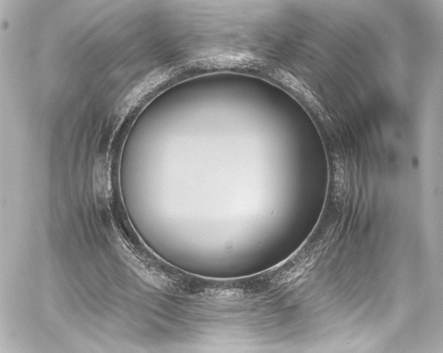 X0000060800582200511101421