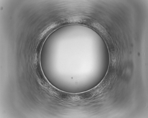 X0000060800583200511101421