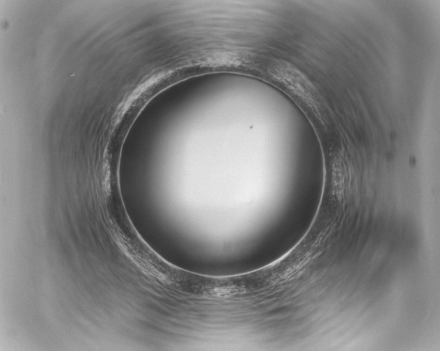 X0000060800584200511101421