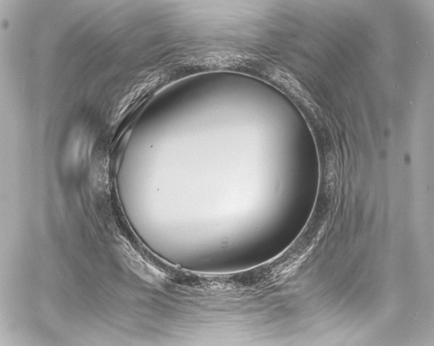 X0000060800585200511101421