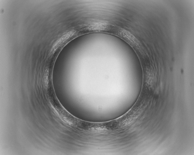 X0000060800586200511101421