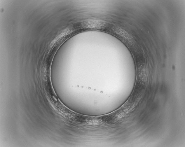 X0000060800587200511101421