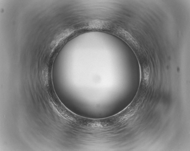 X0000060800588200511101421