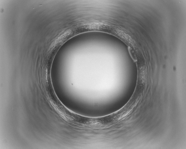 X0000060800589200511101421