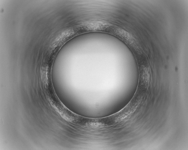 X0000060800590200511101421