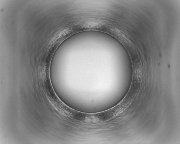 X0000060800591200511101421