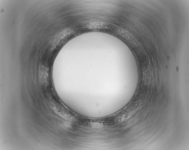 X0000060800592200511101421